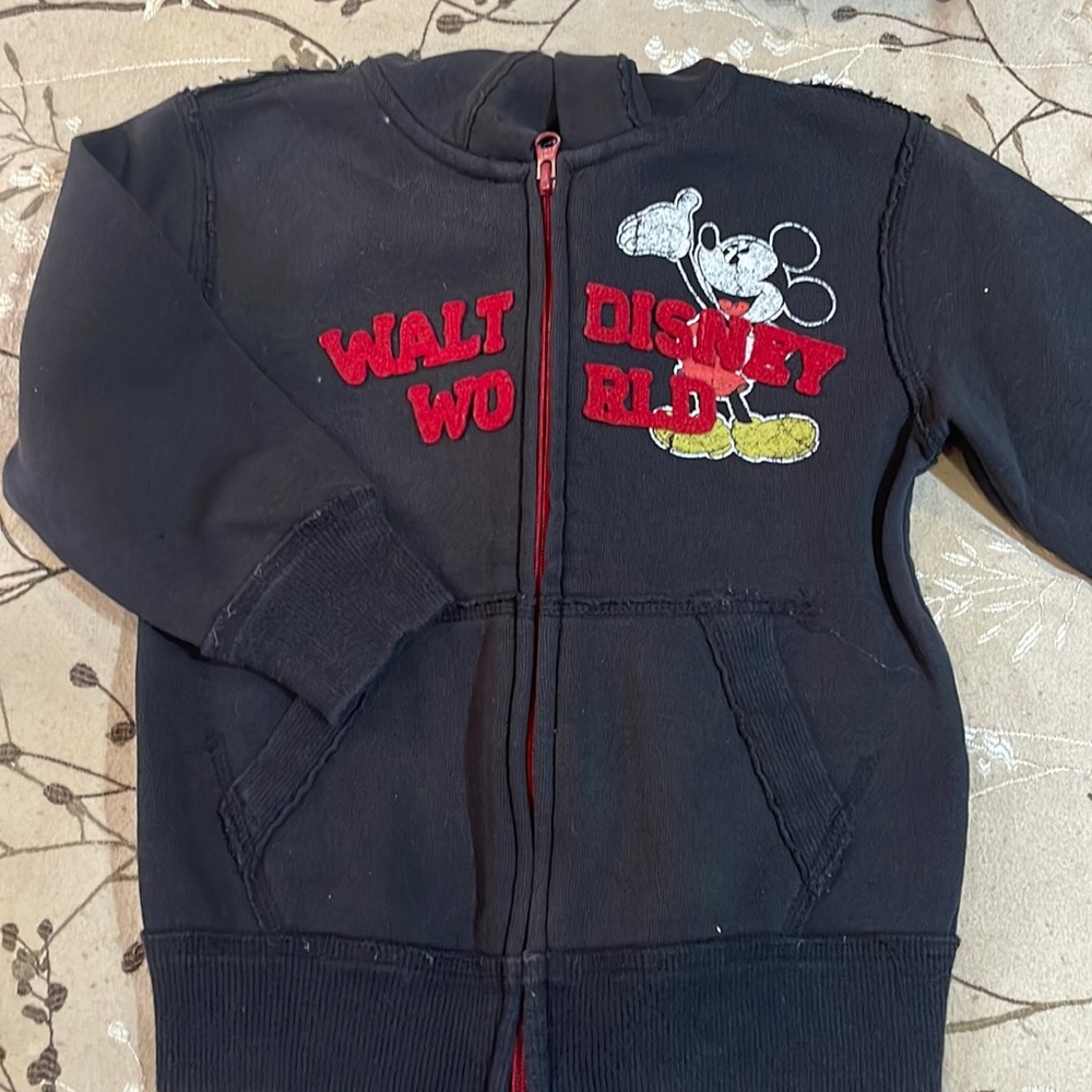 Disneypark Authentic Hoodie